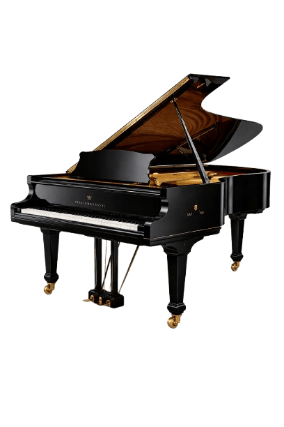 Native Pro instrument visual